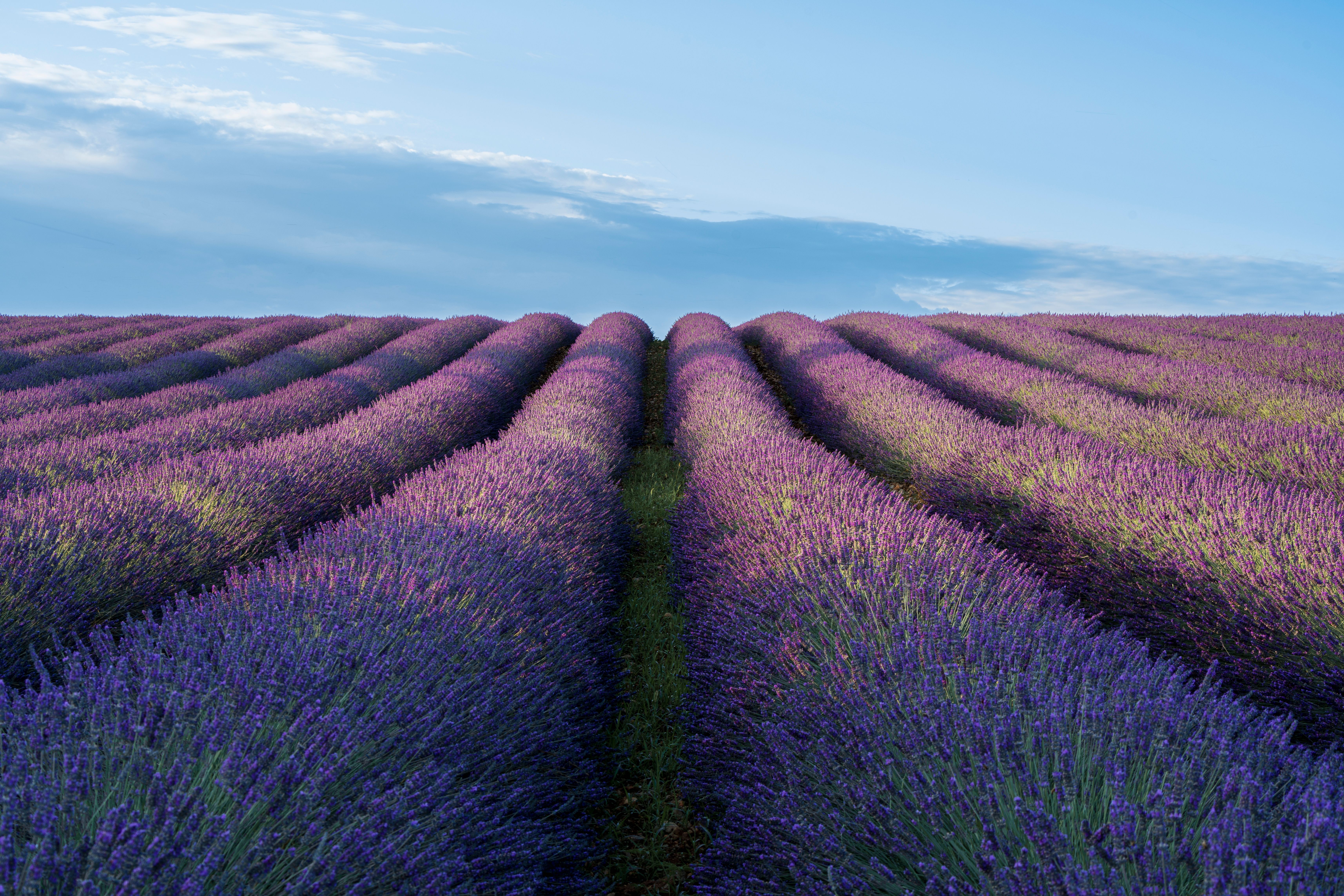 Provence